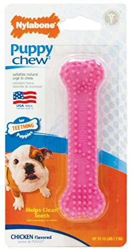 Nylabone Dental Bone Puppy Dog Chew Toy, Petite Pink