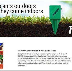 Terro Liquid Ant Bait Boxed 8 / Pack