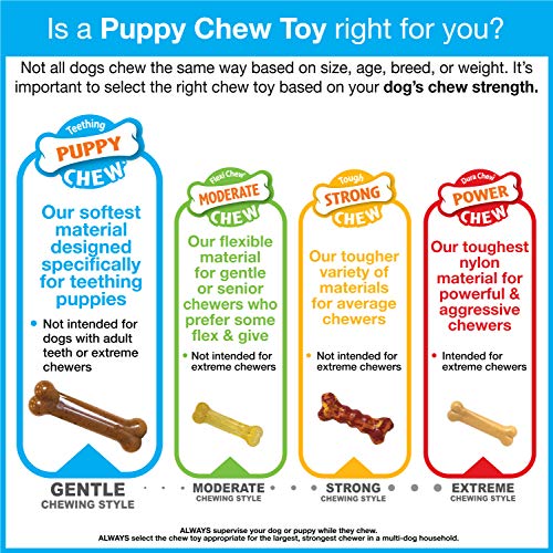 Nylabone Bone Puppy Dog Chew Toy, Petite Blue