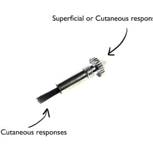 EMI Platinum Series Tromner Neurological Deluxe Reflex Hammer