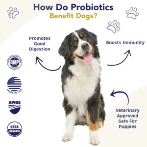 Probiotics for Dogs Digestive Health (Chicken & Bacon) - Dog Probiotic Powder Relieve Diarrhea, Constipation, & More - Dog Calming Treats – Maximum-Strength Dog Digestive Support