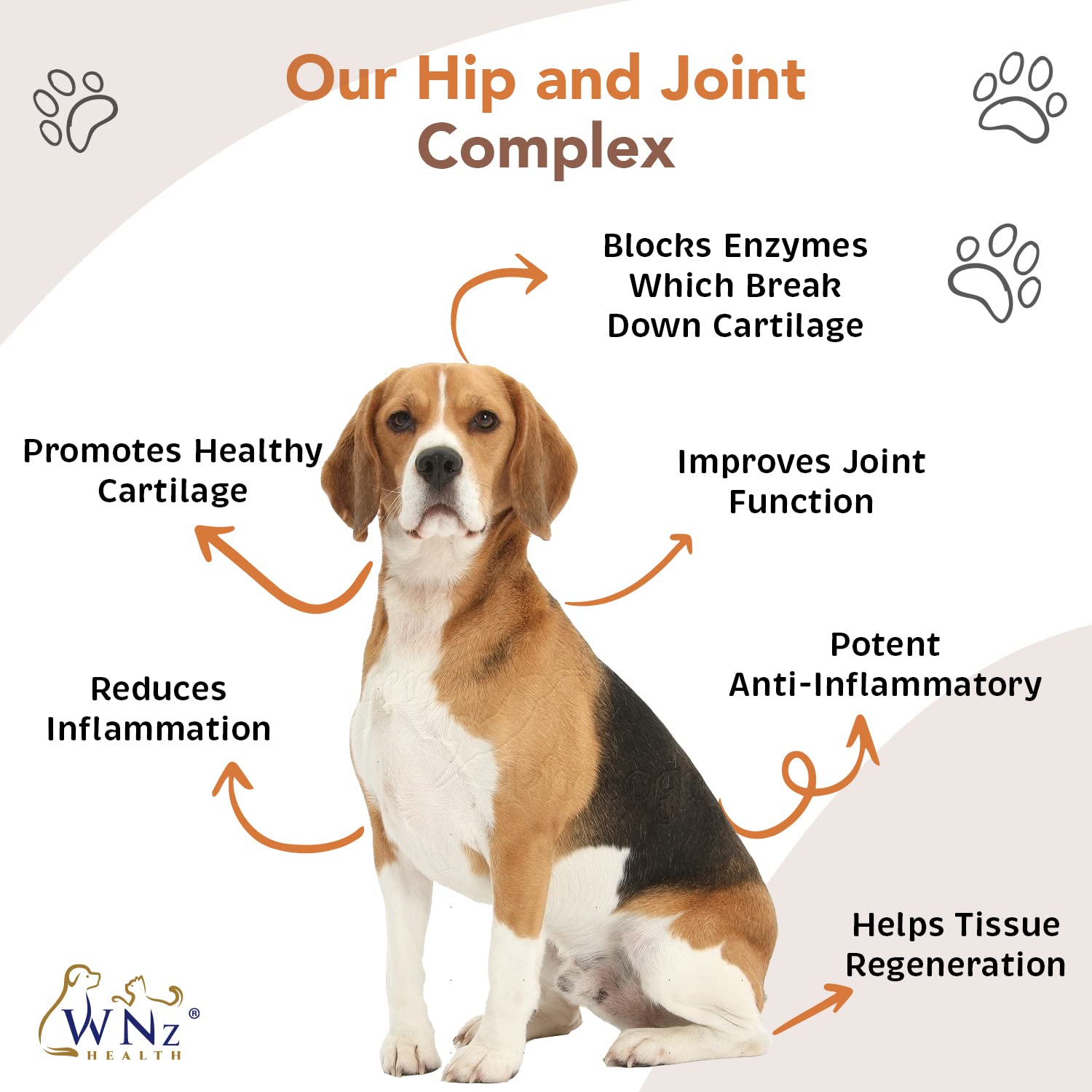 Turmeric Hip and Joint Chews for Dogs, Dog Chews for Mobility Support, Cartilage Health & Dog Joint Pain Relief, Anti-Inflammatory MSM, Glucosamine and Chondroitin for Dogs, 90 Chews, 8 Oz