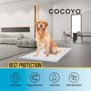 COCOYO Best Value Training Pads, 22" by 22", 100Count