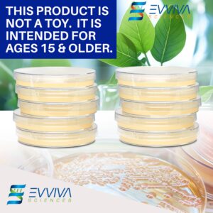 Evviva Sciences Nutrient Agar Petri Dishes Science Project Kit, Pre-Poured Agar Plates for Science Experiments, with Experiment eBook