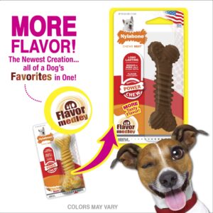 Nylabone 5 Pack of Power Textured Bone Dog Toys, Regular, Flavor Medley Infused Chew Toy