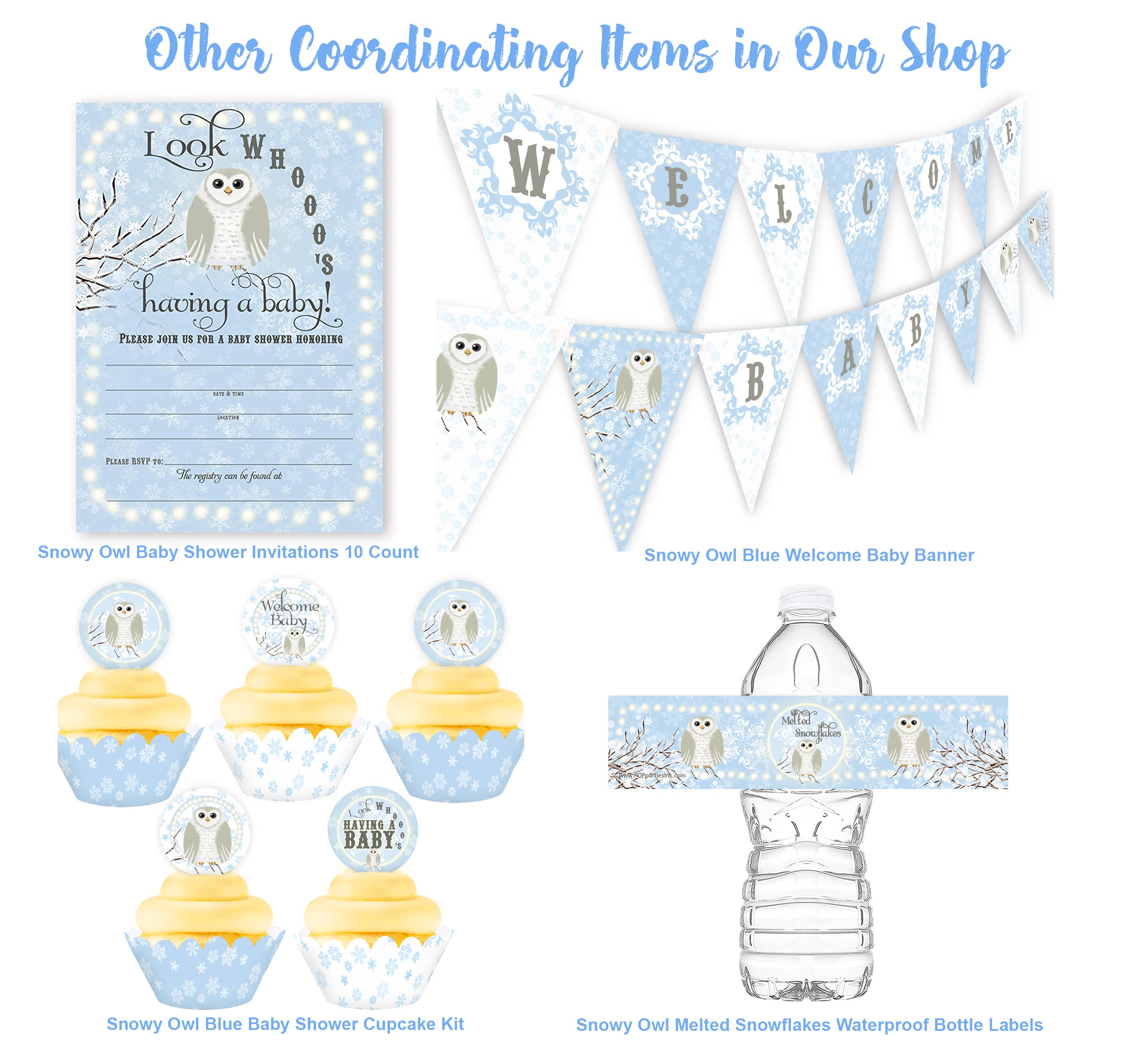 POP parties Snowy Owl Birthday Party Invitations - Blue - 10 Invitations 10 Envelopes