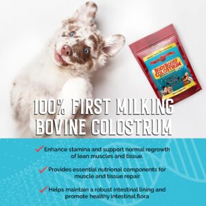 BodyBoost Bovine Colostrum for Dogs and Cats, Organic Immune Support Supplement for Allergy and Itch Relief, Grass Fed Colostrum Powder for Pets, Dog Gut Health, All Ages, 8 oz