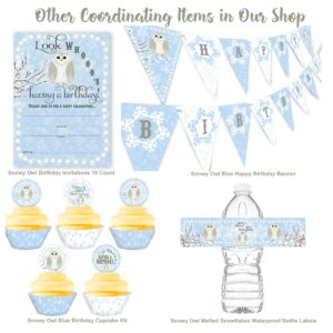 POP parties Snowy Owl Birthday Party Invitations - Blue - 10 Invitations 10 Envelopes