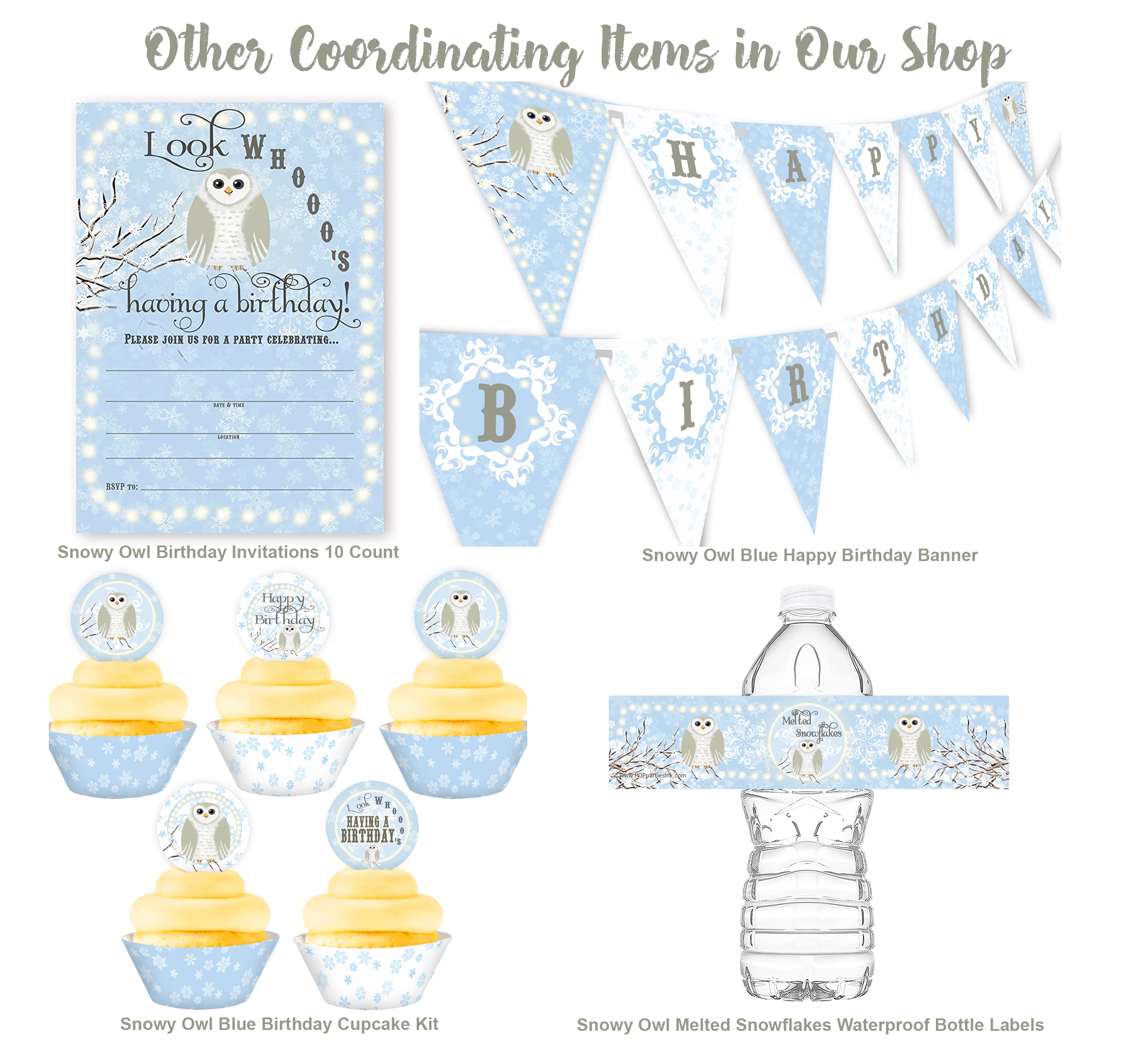 POP parties Snowy Owl Birthday Party Invitations - Blue - 10 Invitations 10 Envelopes