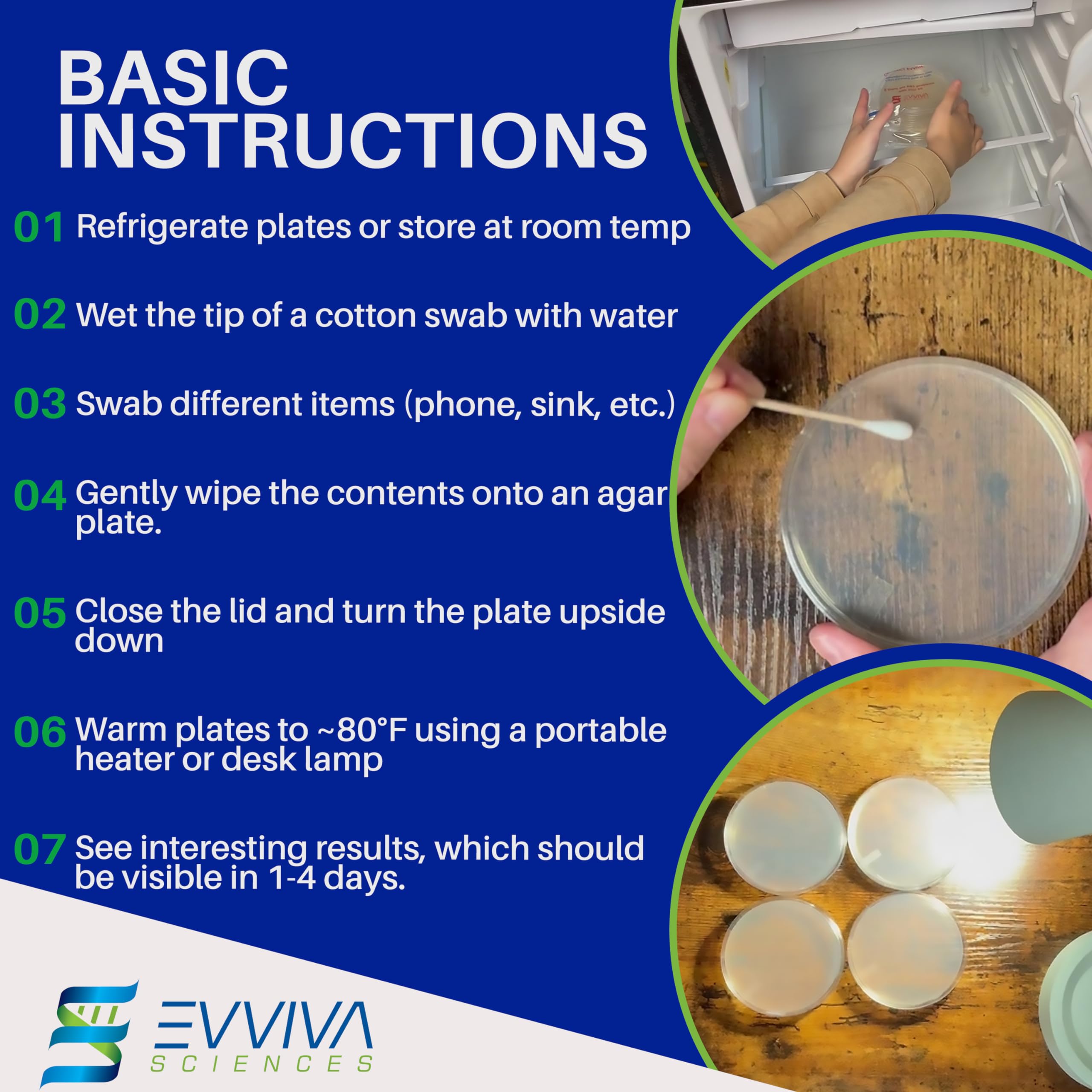 Evviva Sciences Nutrient Agar Petri Dishes Science Project Kit, Pre-Poured Agar Plates for Science Experiments, with Experiment eBook