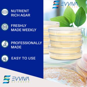 Evviva Sciences Nutrient Agar Petri Dishes Science Project Kit, Pre-Poured Agar Plates for Science Experiments, with Experiment eBook