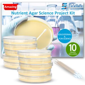 evviva sciences nutrient agar petri dishes science project kit, pre-poured agar plates for science experiments, with experiment ebook