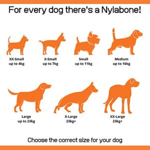 Nylabone Moderate Flexible Dental Dog Chew Toy Bones, 3 Pack, Bacon, Chicken Flavoured, X-Small, for Dogs Up to 7 kg