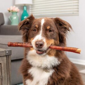 Natural Cravings USA Texas Sized Bully Sticks | All Natural | Odor Free | High Protein | Premium Quality Dog Chews | 12" - 3 Pack