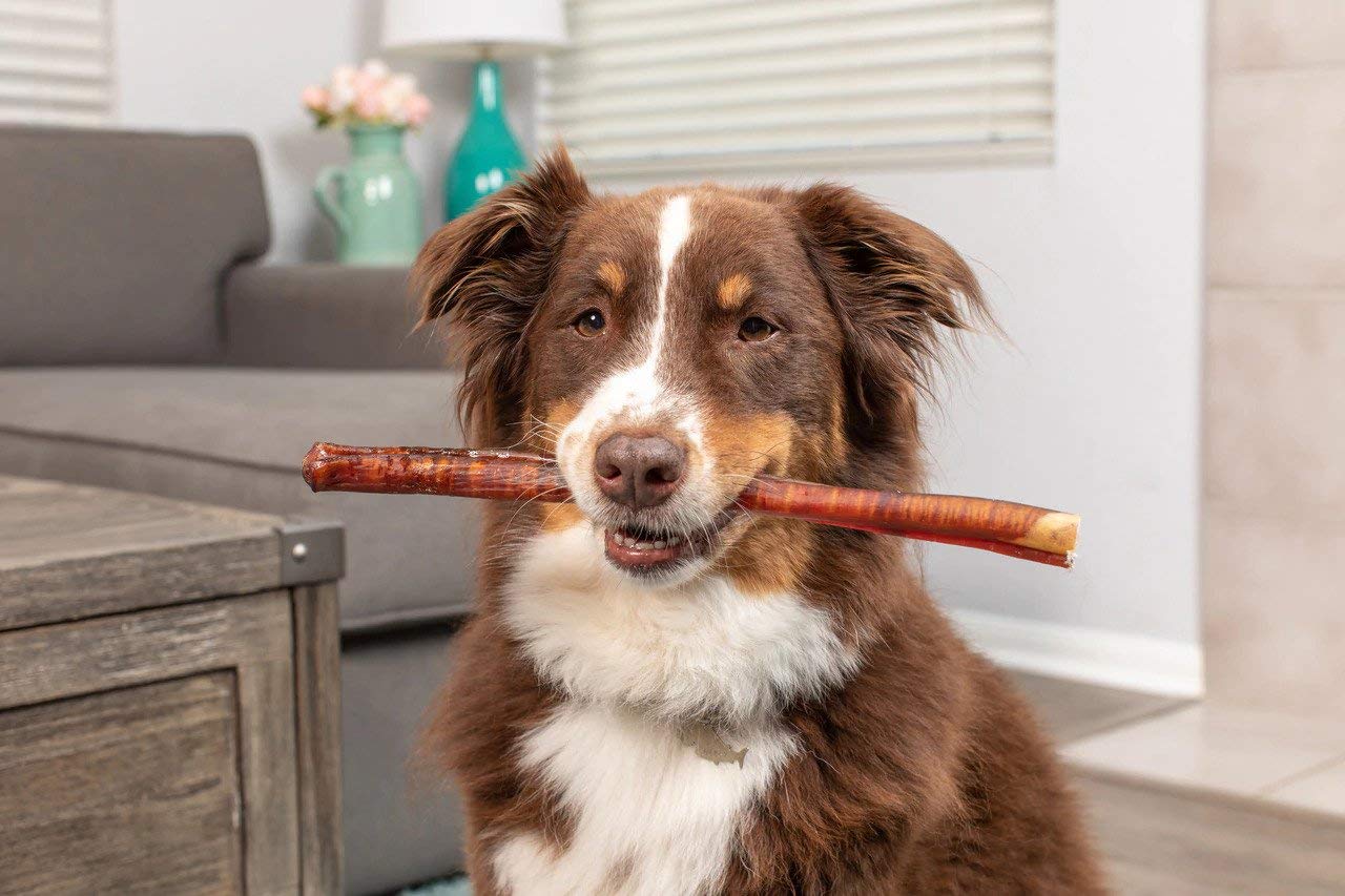 Natural Cravings USA Texas Sized Bully Sticks | All Natural | Odor Free | High Protein | Premium Quality Dog Chews | 12" - 3 Pack