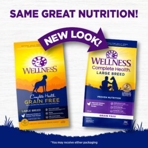 Wellness CORE Grain-Free High-Protein Large Breed Dry Dog Food, Natural Ingredients, Made in USA with Real Chicken (Adult Dog, 24-Pound Bag)