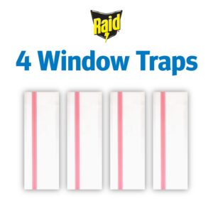 Raid Window Fly Traps, 4 Traps