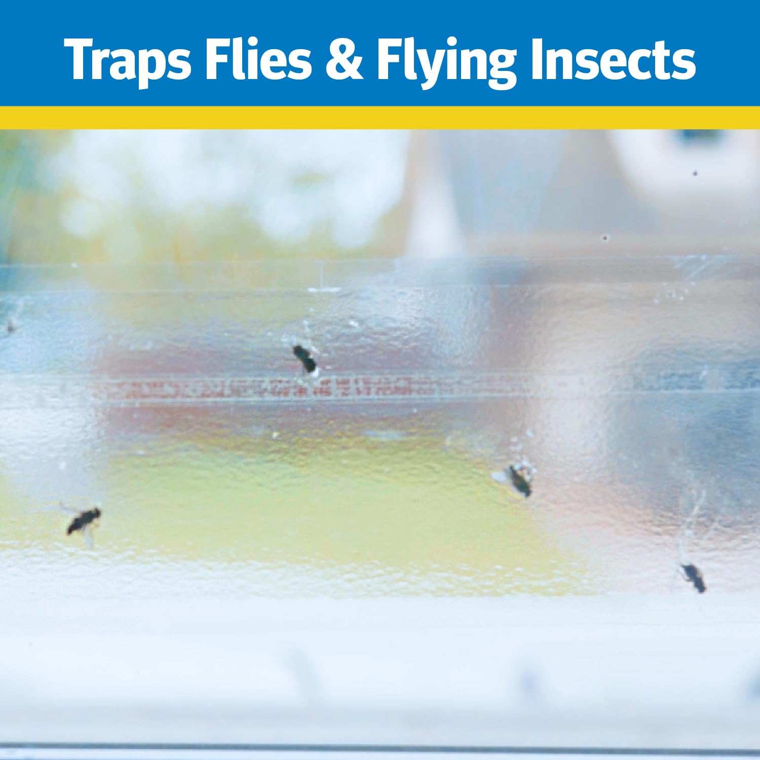 Raid Window Fly Traps, 4 Traps