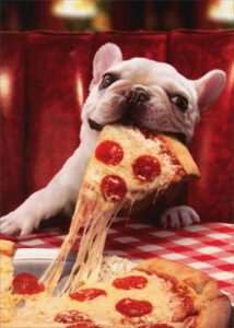 dog with cheesy pizza slice - avanti funny bulldog birthday card