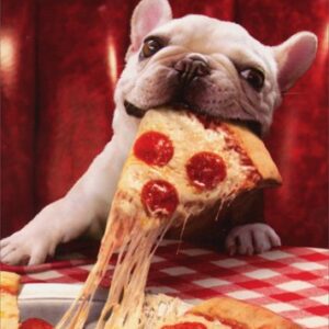 Dog With Cheesy Pizza Slice - Avanti Funny Bulldog Birthday Card