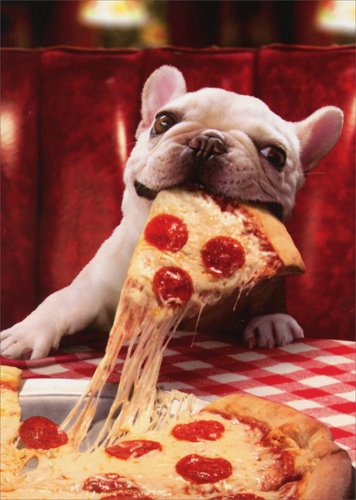 Dog With Cheesy Pizza Slice - Avanti Funny Bulldog Birthday Card