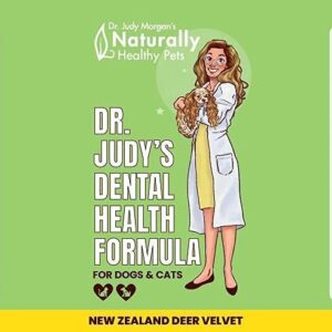 Dr. Judy Morgan's Dental Health Formula for Dogs & Cats, 1 fl oz (30 ml)