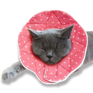 sungrow cat cone collar soft, pet recovery elizabethan e collar soft neck cone to stop licking for cats & kittens after surgery, cat surgical recovery suit for wound cover, puppy dog & rabbit cone