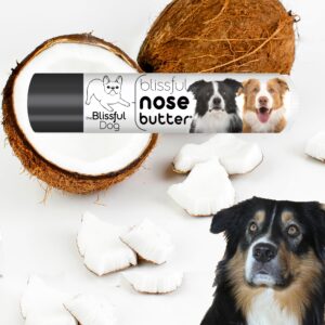 The Blissful Dog Border Collie Unscented Nose Butter, 0.15-Ounce