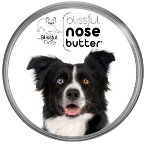 the blissful dog border collie unscented nose butter, 2-ounce