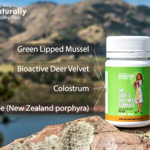 New Zealand Deer Velvet Wellness Formula for Dogs & Cats