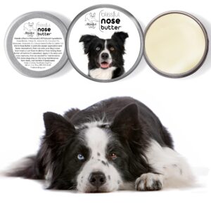 The Blissful Dog Border Collie Unscented Nose Butter, 2-Ounce