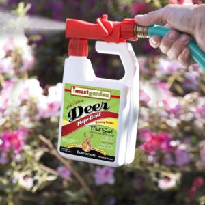 I Must Garden Deer Repellent Hose END Concentrate: Mint Scent Deer Spray for Gardens, Plants, and Trees – 32oz Easy Hose End Sprayer – Covers 10,000 sq. ft.