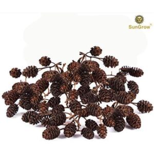 SunGrow Alder Cones for Shrimps, Water Conditioner for Freshwater Shrimp Tanks, Aquarium Decorations & Accessories (50 Pcs)