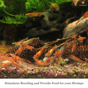 SunGrow Alder Cones for Shrimps, Water Conditioner for Freshwater Shrimp Tanks, Aquarium Decorations & Accessories (50 Pcs)