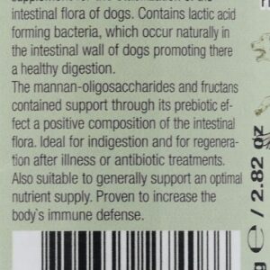 Nekton Biotic-Dog Probiotic Supplement for Dogs 80gm (2.8oz)