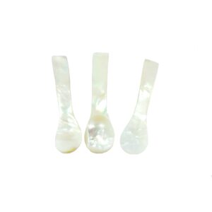 Set of 3 Hand craft Mother of pearl caviar spoon (3 QTY, 2.5 Inches)