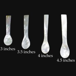 Set of 3 Hand craft Mother of pearl caviar spoon (3 QTY, 2.5 Inches)