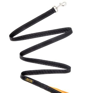 Mighty Paw Dog Leash - Reflective Design with Comfortable Padded Handles - Dog Walking Leash - Unchewable Dog Leash - Dog Leash Comfort Handle - Premium Leash for All Dog Sizes - 6 Feet (Black/Orange)