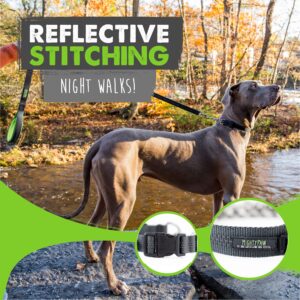 Mighty Paw Martingale Dog Collar 2.0 | Trainer Approved Limited Slip Collar with Stainless Steel Chain & Heavy Duty Buckle - Modified Cinch Collar for Gentle & Effective Pet Training - Large, Grey