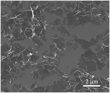 Reduced Graphene Oxide Powder (1 gram) - Material for Science, Research, Product Development. Sold to Multi National Corporation, Universities, Defense Industry and More.