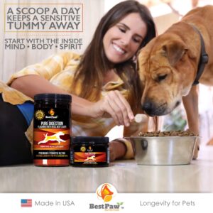 Best Paw Nutrition Dog & Cat Premium Probiotic Prebiotic & Digestive Enzymes 5 Billion CFU Organic Turmeric Coconut Oil Pure Pumpkin & Kelp for Healthy Bowels Gut & UTIs