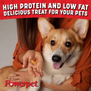 Powerpet Treats Bully Stick Bites - Delicious Dog Treats - All Natural, Long-Lasting Chews, High Protein, Grain-Free, Rawhide-Free - Odorless - Promotes Dental Health, Ideal for All Chewers - 1lb Pack