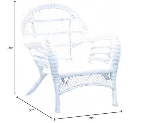 Jeco Carell Furniture Modern/Contemporary Wicker Chair in White