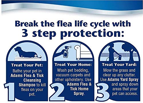 Adams Flea & Tick Indoor Fogger | 2 x 3 oz Cans | Kills Fleas, Flea Eggs, Ants, Flies, Cockroaches, Mosquitoes, Spiders, Silverfish| Each Fogger Treats Up to 375 Square Feet | 6 oz Total