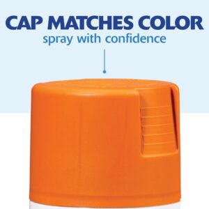 Rust-Oleum 334089 Painter's Touch 2X Ultra Cover Spray Paint, 12 oz, Satin Rustic Orange