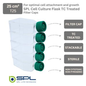 SPL Cell Culture Flask 25 cm² (T25) Filter Cap, Treated, Sterile, 200/Case