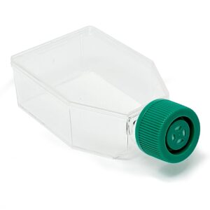 SPL Cell Culture Flask 25 cm² (T25) Filter Cap, Treated, Sterile, 200/Case