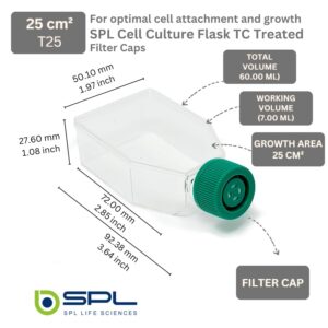 SPL Cell Culture Flask 25 cm² (T25) Filter Cap, Treated, Sterile, 200/Case