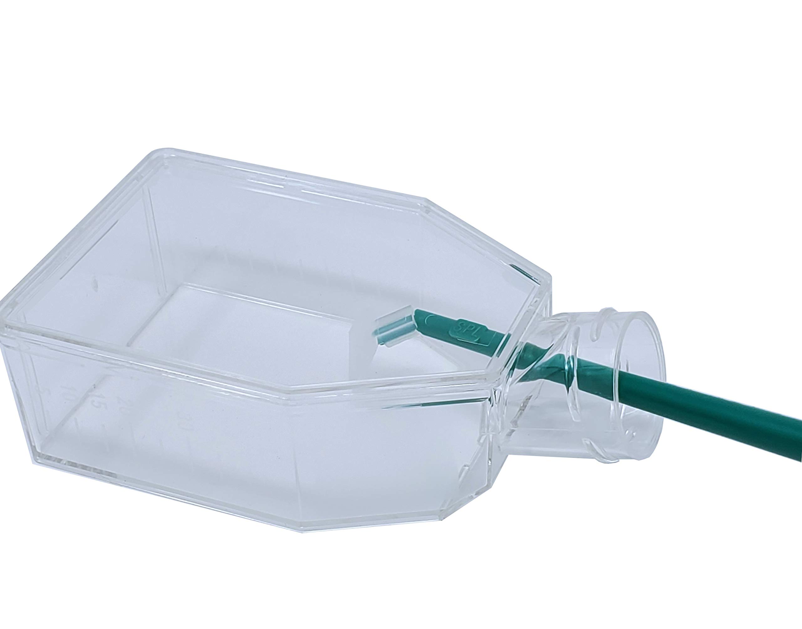 SPL Cell Culture Flask 25 cm² (T25) Filter Cap, Treated, Sterile, 200/Case