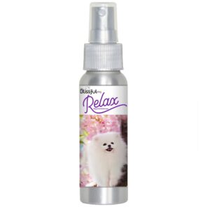 the blissful dog pomeranian relax dog aromatherapy spray for your dog's anxiety